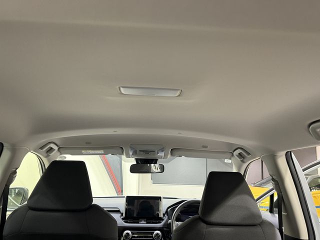 MITSUOKA BUDDY 2024 Image 31