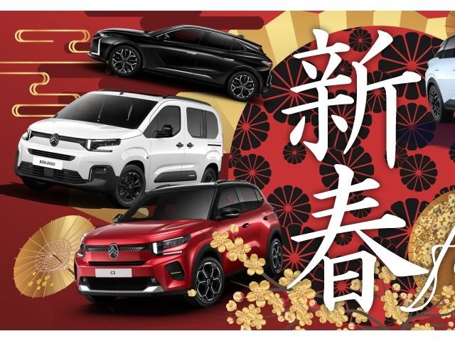 CITROEN C5 AIRCROSS 2025 Image 31