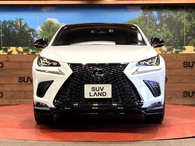 TOYOTA LEXUS NX300 2019 Image 31