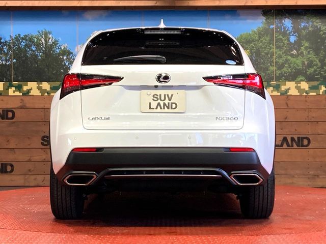 TOYOTA LEXUS NX300 2019 Image 31