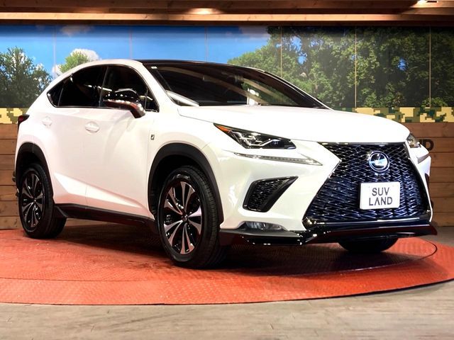 TOYOTA LEXUS NX300 2019 Image 31
