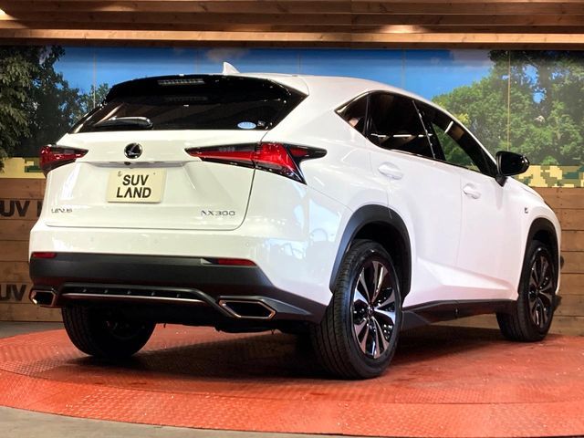 TOYOTA LEXUS NX300 2019 Image 31