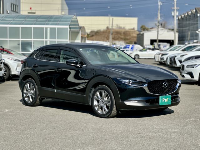 MAZDA CX-30 2025 Image 31