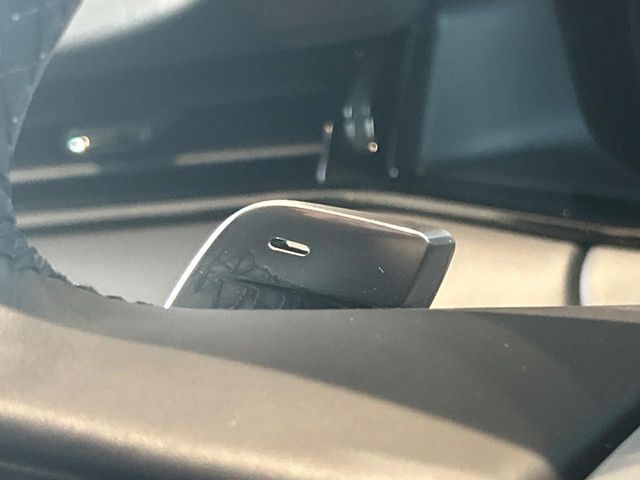 ROVER RANGE  EV 2024 Image 31