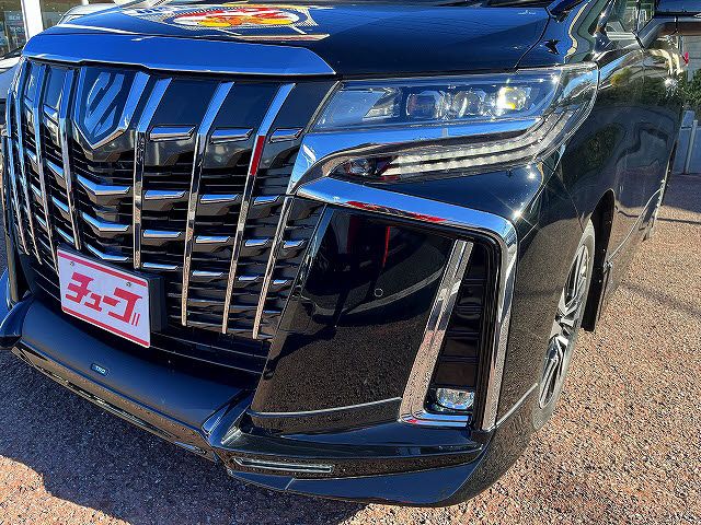 TOYOTA ALPHARD 2020 Image 31