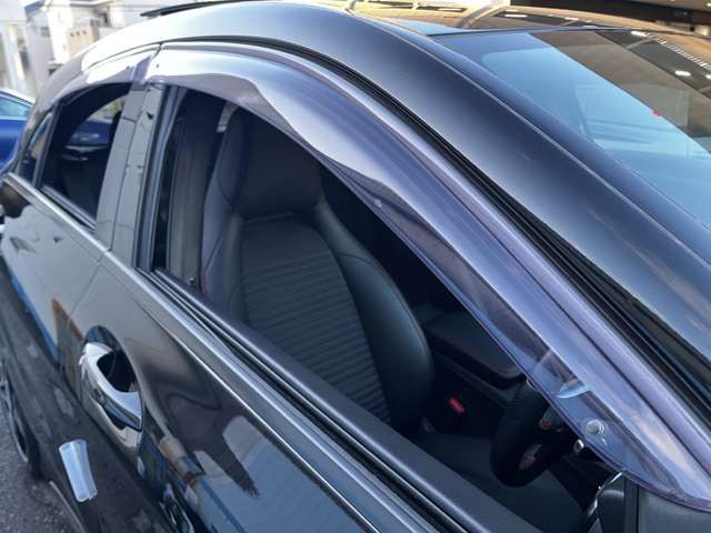 MERCEDES BENZ A CLAS 2011 Image 31