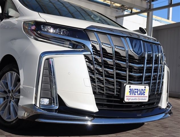 TOYOTA ALPHARD 2021 Image 31