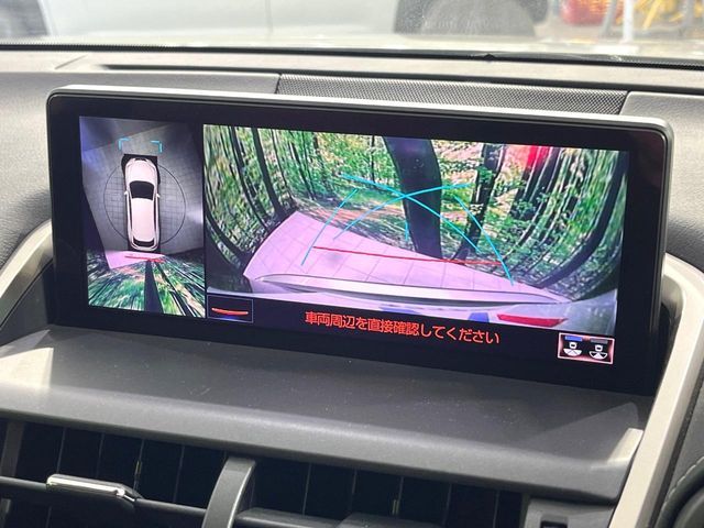 TOYOTA LEXUS NX300H 2018 Image 31