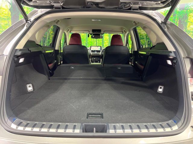 TOYOTA LEXUS NX300H 2018 Image 31