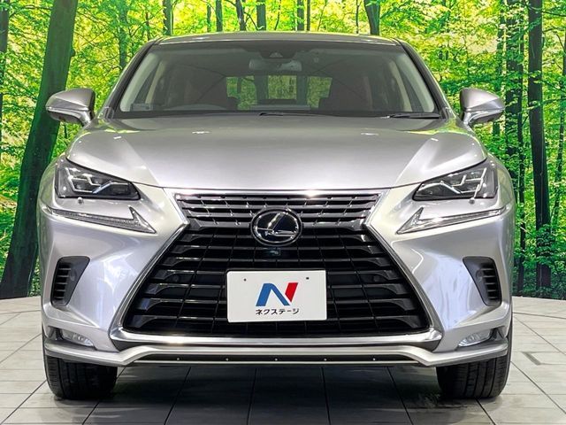 TOYOTA LEXUS NX300H 2018 Image 31