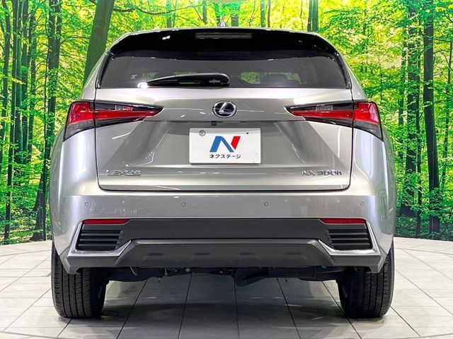TOYOTA LEXUS NX300H 2018 Image 31