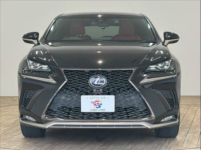 TOYOTA LEXUS NX300H 2019 Image 31