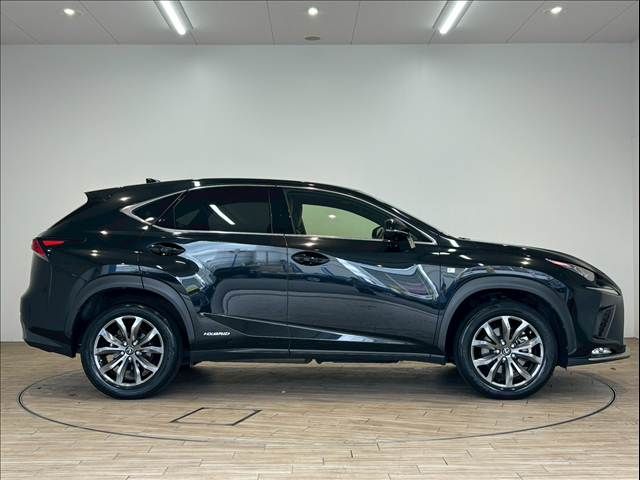 TOYOTA LEXUS NX300H 2019 Image 31