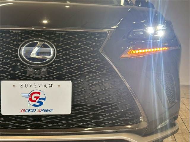 TOYOTA LEXUS NX300H 2019 Image 31