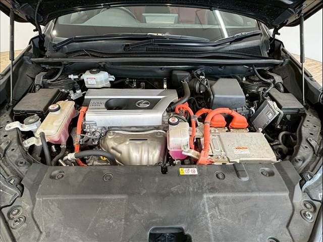 TOYOTA LEXUS NX300H 2019 Image 31