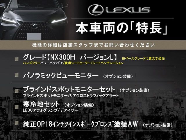 TOYOTA LEXUS NX300H AWD 2020 Image 31