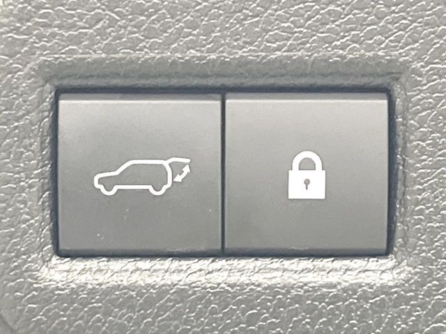 TOYOTA LEXUS NX300H AWD 2020 Image 31