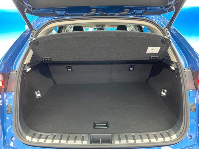 TOYOTA LEXUS NX300H AWD 2020 Image 31