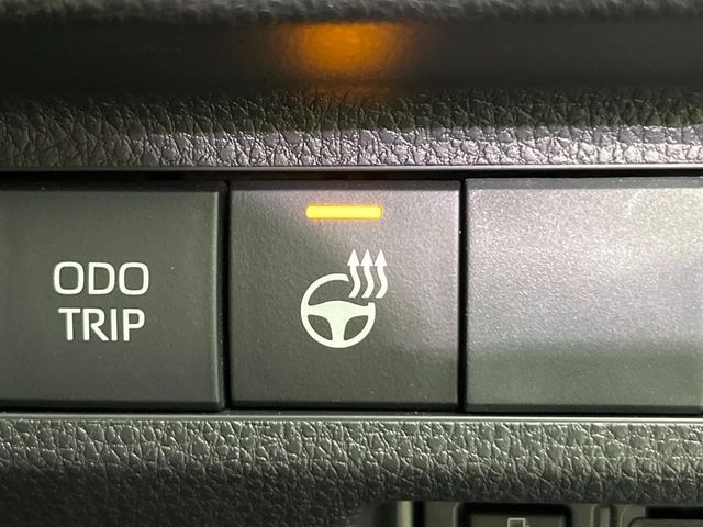 TOYOTA RAV4 4WD 2023 Image 31