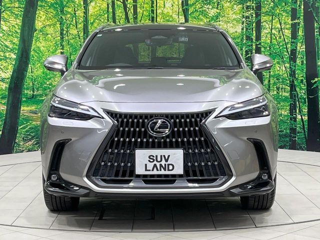 TOYOTA LEXUS NX350H 2021 Image 31