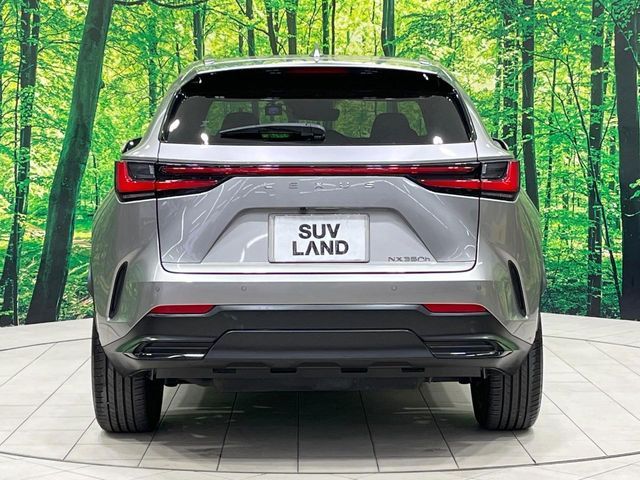 TOYOTA LEXUS NX350H 2021 Image 31
