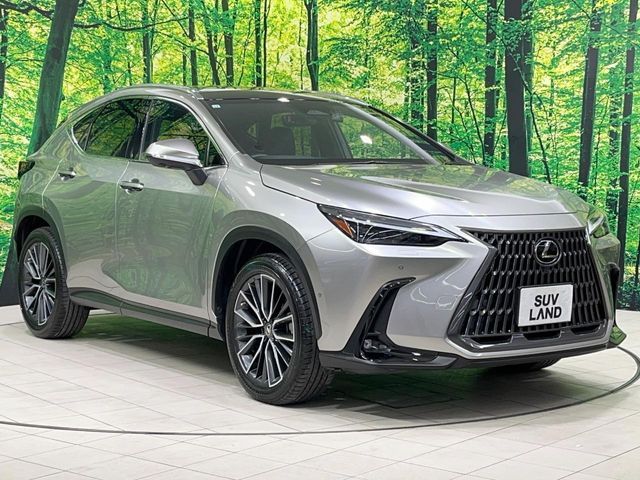 TOYOTA LEXUS NX350H 2021 Image 31