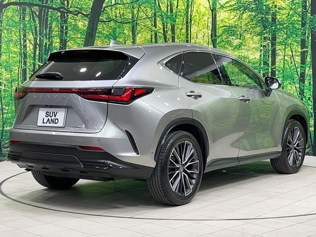 TOYOTA LEXUS NX350H 2021 Image 31