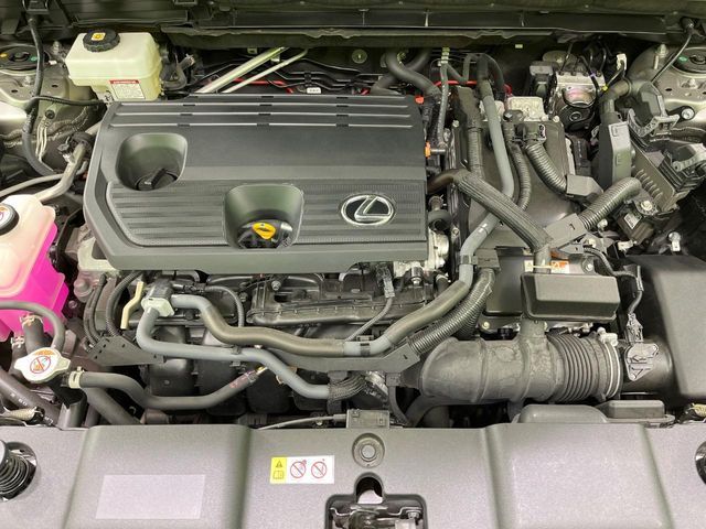 TOYOTA LEXUS NX350H 2021 Image 31