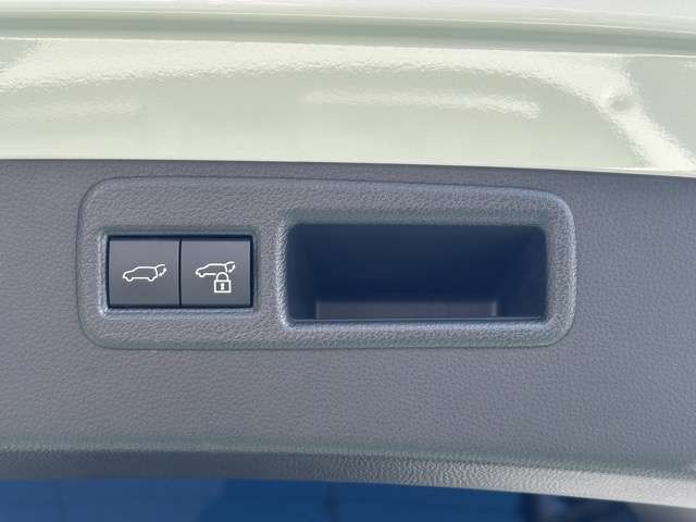 TOYOTA HARRIER PHEV 2023 Image 31