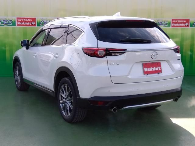 MAZDA CX-8 2019 Image 31