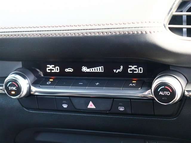 MAZDA 3 FASTBACK 2020 Image 31