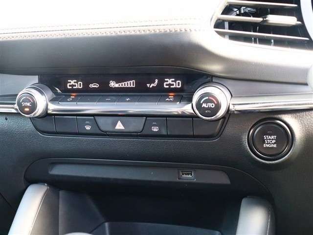 MAZDA 3 FASTBACK 2020 Image 31