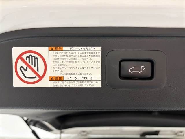 TOYOTA ALPHARD HYBRID 4WD 2021 Image 31