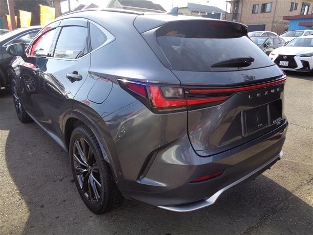 TOYOTA LEXUS NX350H AWD 2024 Image 31