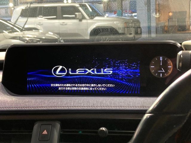 TOYOTA LEXUS UX250H 2019 Image 31