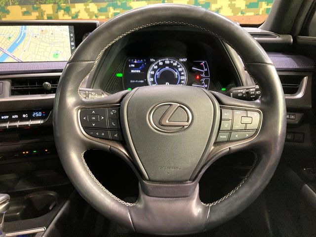 TOYOTA LEXUS UX250H 2019 Image 31