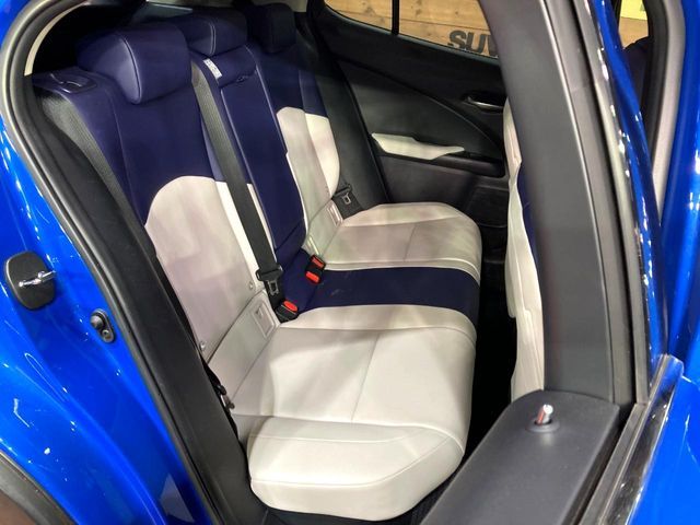 TOYOTA LEXUS UX250H 2019 Image 31