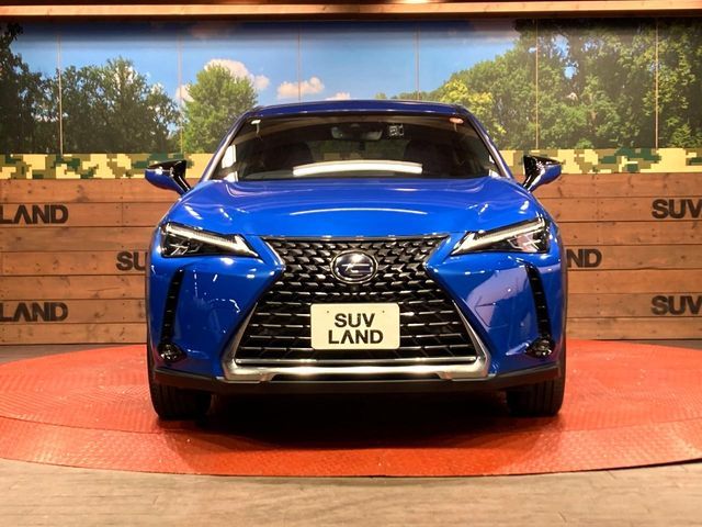 TOYOTA LEXUS UX250H 2019 Image 31