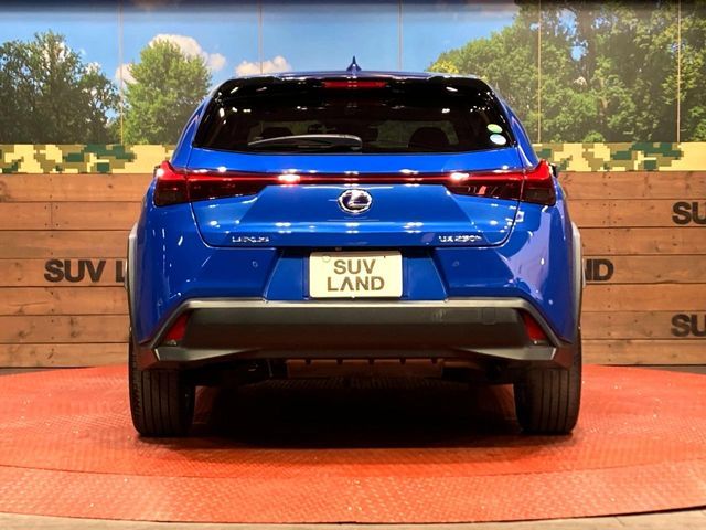 TOYOTA LEXUS UX250H 2019 Image 31