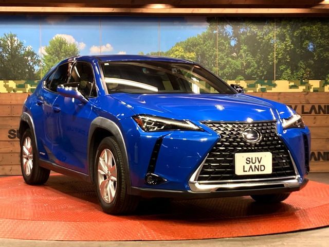 TOYOTA LEXUS UX250H 2019 Image 31