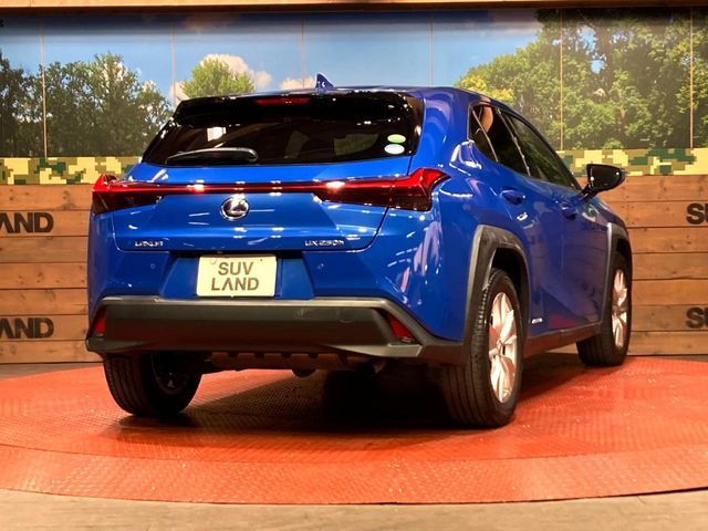 TOYOTA LEXUS UX250H 2019 Image 31