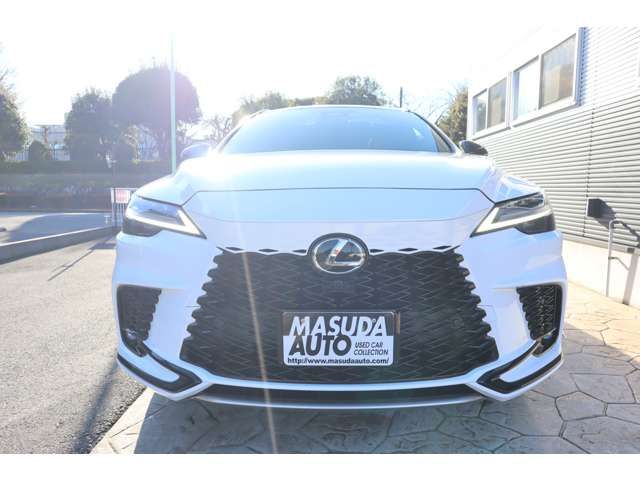 TOYOTA LEXUS RX500H 2023 Image 31