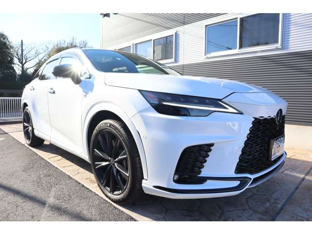 TOYOTA LEXUS RX500H 2023 Image 31