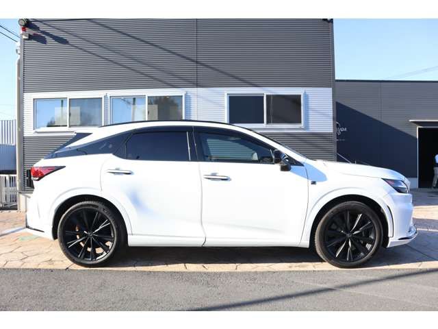 TOYOTA LEXUS RX500H 2023 Image 31