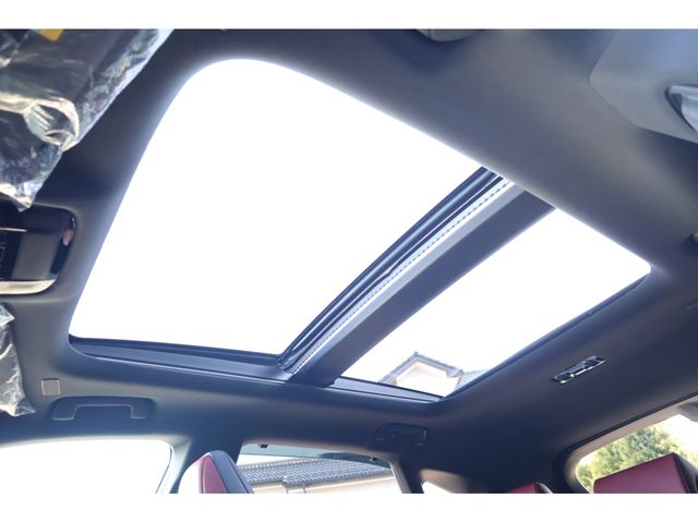 TOYOTA LEXUS RX500H 2023 Image 31