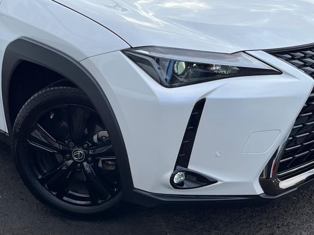 TOYOTA LEXUS UX250H 2021 Image 31