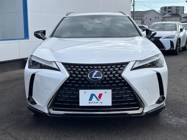 TOYOTA LEXUS UX250H 2021 Image 31