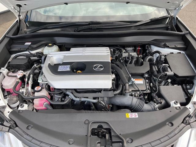 TOYOTA LEXUS UX250H 2021 Image 31