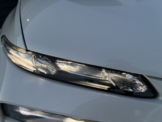 BMW X7 2023 Image 31