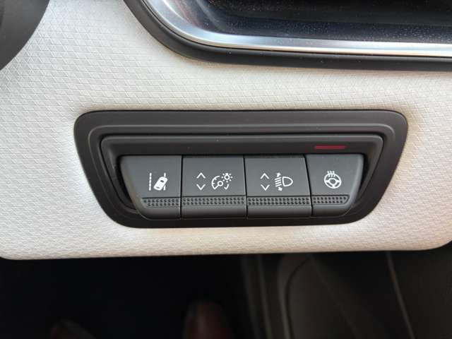 RENAULT LUTECIA 2021 Image 31